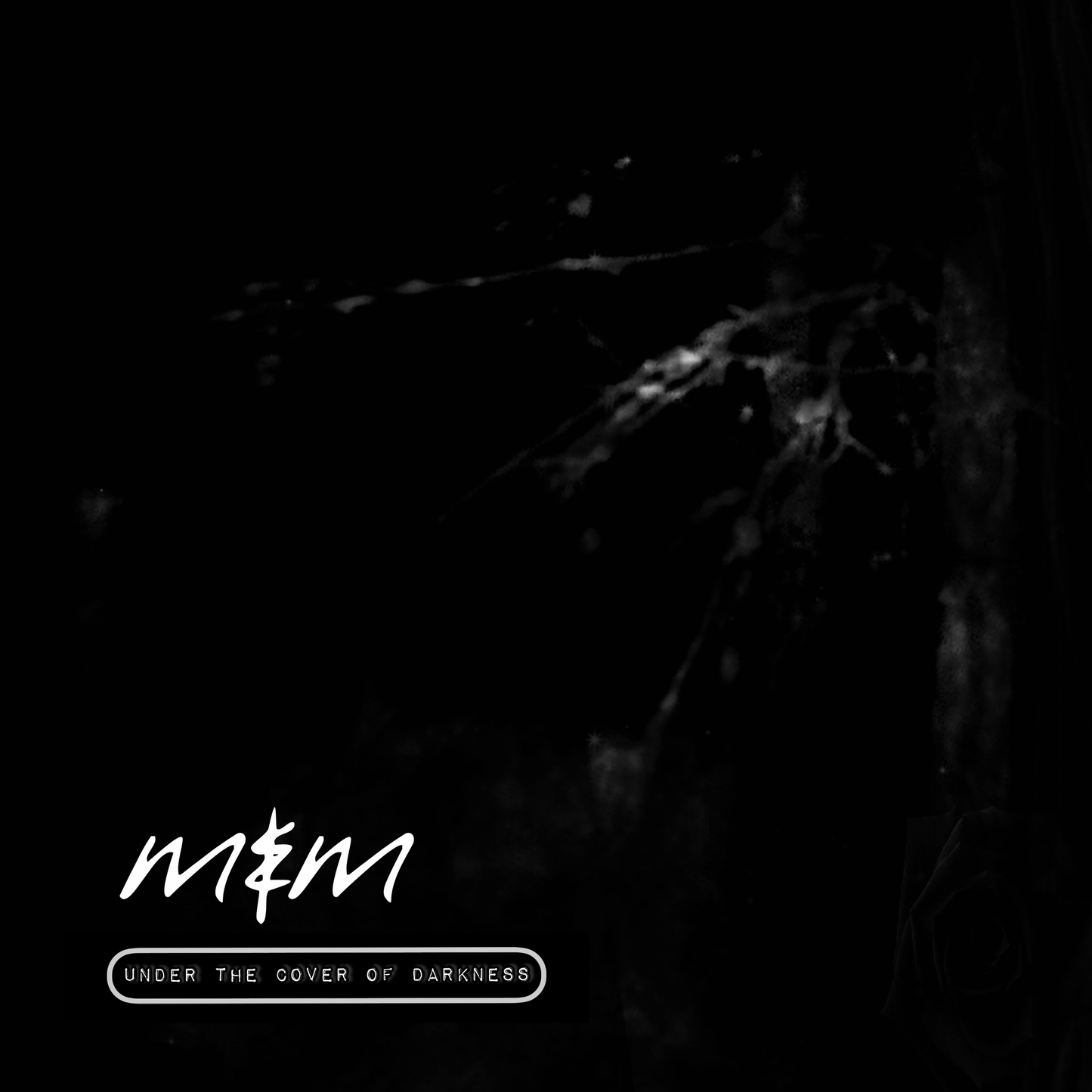 Under the cover of darkness - CD